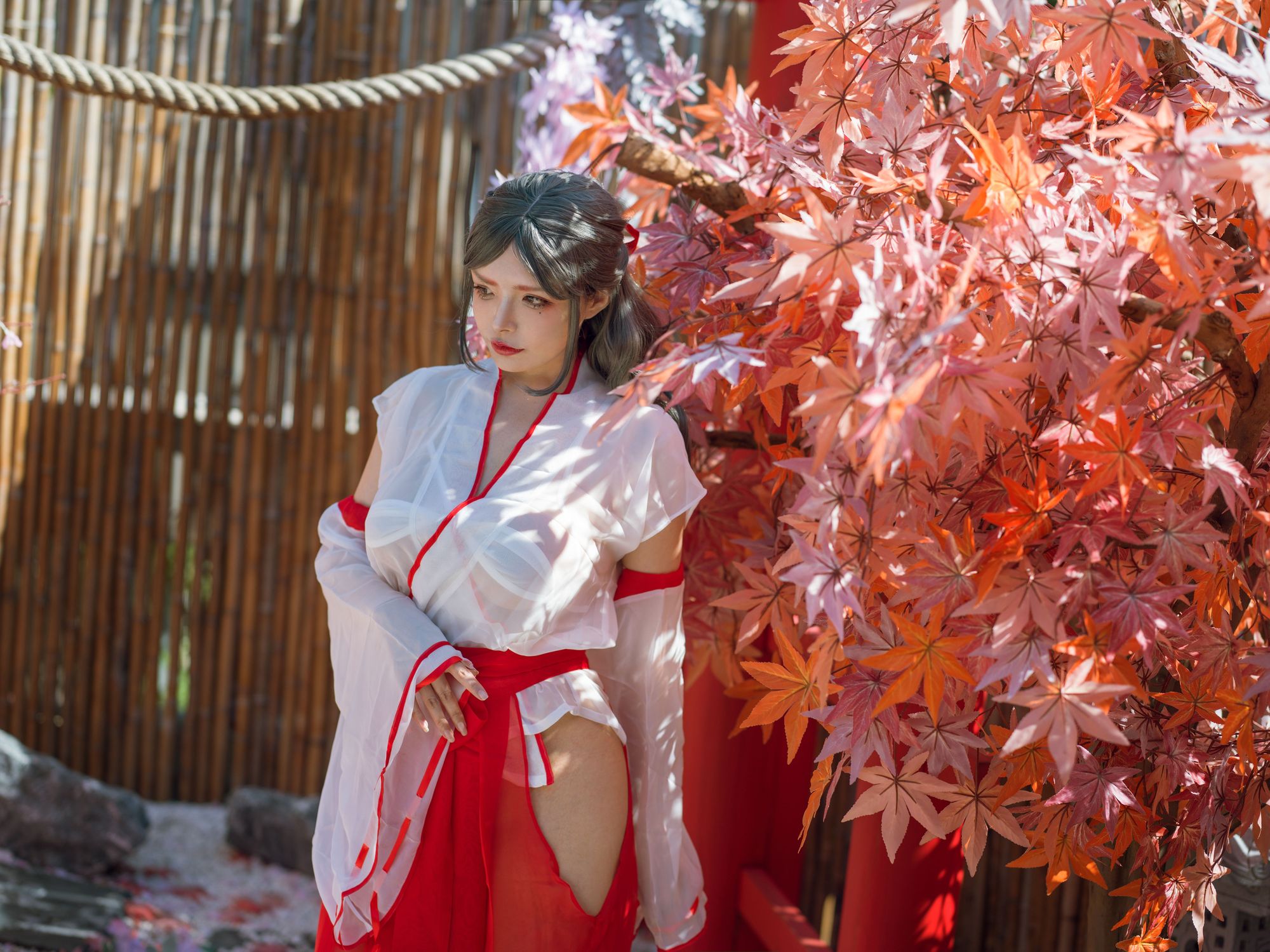 图片[2]-秋和柯基 No.106 汤池巫女（53P） - 图友-图友