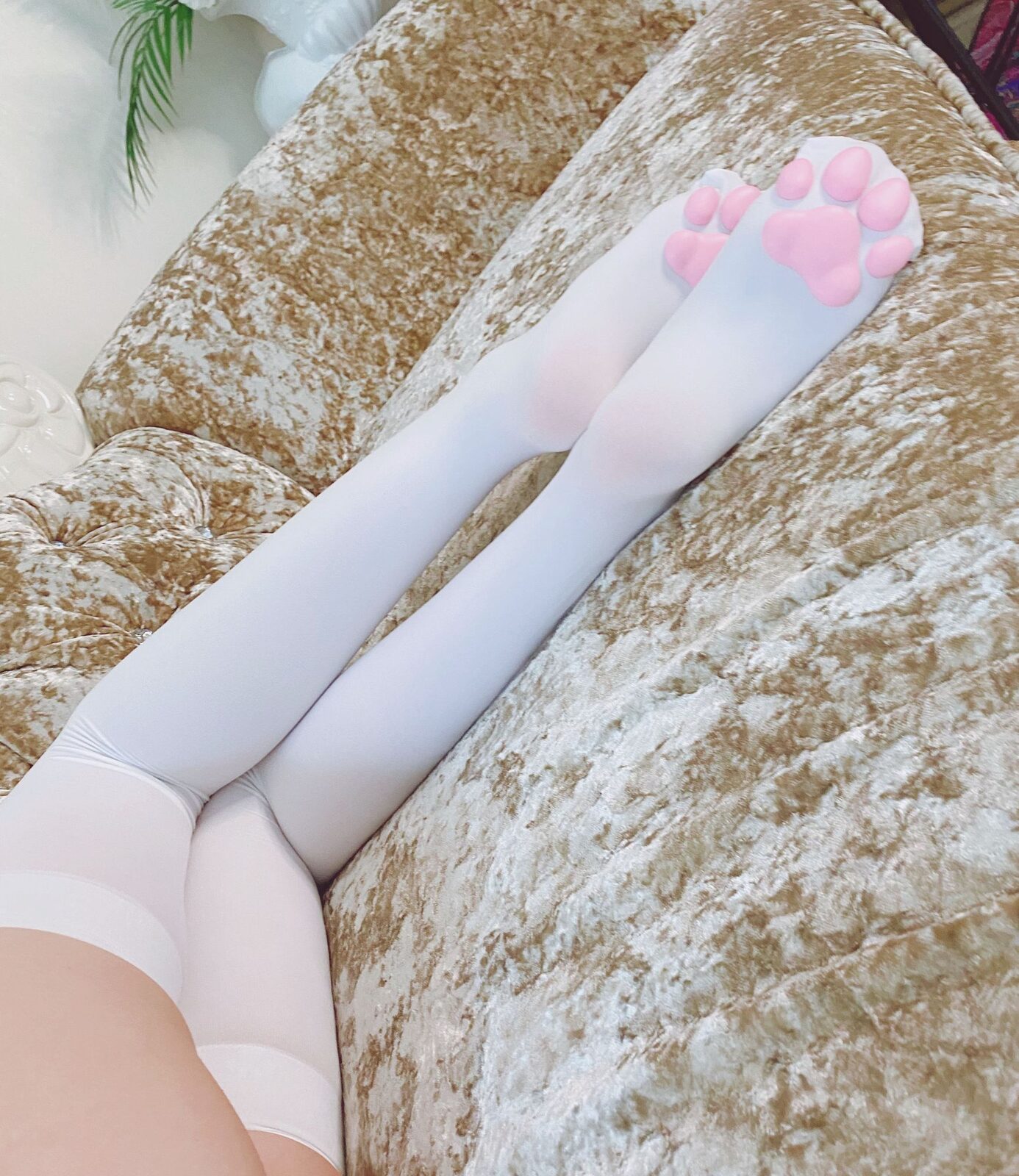 足系列3 – 猫爪 / 足系列3– 白丝 - 起司块wii cosplay 第2张